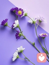 你不是脾气差，是关系里忍太久，耗空了配图