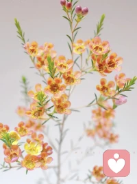 凌乱的家，养不出自律的孩子

一进门，全是凌乱，袜子到处扔，碗筷一摆就是一天，没有家的温馨，只有越看越糟心。父亲不能支撑，母亲不想操劳，一提干活，就开始吵架，谁都觉得自己累，谁都觉得自己冤。凌乱的家，往往意味着整个家庭秩序的混乱，父母皆不司其职，孩子脑子里所有的家庭反馈，皆是乱字。

凌乱的家，养不出自律的孩子。孩子写个作业，桌子上又是玩具，又是烟灰，还有一堆零食，大人们争吵、抱怨、指责，孩子的注意力完全被打乱，打散。当一个家毫无秩序感，孩子的脑子里，就形不成有序、整洁、干净这样的词，也就更难有这样的行为。乱的从来不仅仅是家，还有人心。

一个家，房间的模样，往往藏着孩子的未来。如果杂乱、争吵、混乱是他原生家庭的模样，那么当他长大后去经营家庭，处理情绪，就会无意识去模仿，思维会混乱，很容易拎不清任何关系，争吵、拖延、根本不知道如何去承担。人当了父母，就要让自己活得有点样子，让童年去治愈孩子的一生，而非让孩子的一生，都在隐痛中，治愈童年。配图