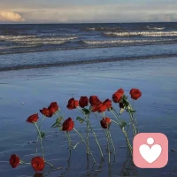 我的目标不是每天都快乐，而是能平静地和情绪共处，变强的唯一途径，是无限靠近平静。内心一旦平静，外界就会鸦雀无声配图