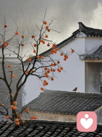 人到中年，避害比趋利更重要

人年轻时满脑子都是往上走，什么都想抓，什么都敢试。到了中年就得换个活法，守比攻重要，避害比趋利要紧。这个年纪摔不起跟头了，身体扛不住，家里拖不起。有些坑看着是机会，跳进去才知道是深渊，一步走错，几年都缓不过来。

趋利是往前冲，避害是往后看。中年人最该练的本事，不是多能挣，是能识别那些会把自己拖下去的人和事。烂人烂事沾上了就是一身腥，耗精力还败名声。贪念一起，脑子一热，家底都能赔进去。避开这些，比抓住什么虚的都值。

往后做事多想想风险，少想想好处。看不清的局别进，摸不透的人别交，稳不住的事别碰。把身体护好，把家守好，把现有的攥紧。这个岁数，不出事就是赢，不翻船就是赚。避害就是最大的趋利。配图