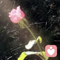 自己撑伞，才能无所畏惧配图