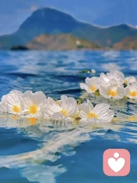 怕被讨厌的本质，是拿别人的尺子来量自己。可那把尺子，从来就没准过。怎么活？

第一，认清现实、看破本质：他人的评价，只服务于他们的利益。
他夸你，你听听就好；他骂你，你也听听就好。别往心里去，因为那根本不是说你，是说他自己。你把他当镜子，他只会把你照歪。
第二，锻炼胆气、磨磨厚脸皮：被讨厌，是你做自己的成本和必须经过的历练。
你不可能让所有人都满意，满意的人里还有一半是装的。接受这个事实，你就不会再为谁的脸色失眠。他讨厌你，是他的事；你活得好，是你的事。两件事没关系。
第三，建自己的评价体系：用自己的尺子，量自己的路，每天都在进步就好。 别人怎么看不重要，你自己怎么看才重要。你今天做的事，自己觉得值吗？你走的路，自己觉得对吗？你的标准，才是你最后的底牌。别人进不来，你也出不去。

请记住：被人讨厌不丢人，丢人的是为了不被讨厌，把自己活成了四不像、千面鬼。你的价值，不在别人嘴里，在你自己取真经的路上。别人讨厌你，是他的事；你讨好他，是你的事。分不清这两件事，就永远被人牵着走。配图