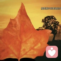 我们所有的烦恼，大多源于执念太深，总把“应该”挂在心头。
少一点理所当然，多一点体谅包容；少一点强求，多一点随缘。别人的言行，不必事事苛求；生活的起落，不必处处纠结。
当你放下了“应该”，就少了失望，少了委屈，少了内耗。心无执念，日子才会过得自在舒坦，轻松安稳。配图