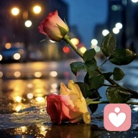 我们该如何应对他人的“无边界行为”？
1）最基础的一点，仍然是要学会识人
避免跟索取型的人、喜欢试探他人底线来推进自己目的的人来往过密，如果避免不了就要学会“果断拒绝，不留情面”。
2）然后要学会“善意提醒”他人
因为并不是所有人都是故意要去触碰你的边界，有可能他们只是粗心大意、心直口快，或者干脆就是没有意识到。所以不用对谁都抱有“敌意”，要灵活一些，情商高一些去处理。
3）最后要学会解释自己的“有边界行为”
一方面可以借此机会亮出自己的原则和底线，起到提示他人的作用；另一方面也是在侧面的“教”他人如何跟自己相处，长此以往可以净化你的朋友圈。

当然，即使是健康的社交关系，也不是没有压力的，而是说我们要拥有自己完整的人格，能够感知自己的需求与感受，并能在世界中有效地表达它们。配图