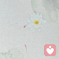 请无理由远离所有在自己制造的问题中扮演受害者的人。否则你就会被烂事拖着走，直到失去平静的生活、稳定的情绪、积极阳光的个性，最终远离了你的人生主线。配图