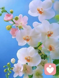 假如一个人在无法活出真实自我的地方生根发芽，就会持续处于虚弱状态

人在不像自己的地方，会失去力量。

心理边界被持续侵犯后，会改变自我的生存环境，这个生存环境是指“内在的环境”，当我们无法安放自己的心时，就说明自己在被外界的某种力量「骚扰」，他们试图把我们放置在他们想要的地方，企图以“模糊我们自我意识”的方式来服从他们的指令，有些人可能在半推半就之间就“去”了，但发现自己非常“难受”，那个以他人喜好和标准“装修”的地方，并不适合我们，去了也只会成为某种“工具”，但这个地方本应该是自己的，只是被他人“侵吞了财产”、“篡改了意志”。

要么抢回来，要么逃跑。

如果是一个你暂时无法离开的圈子里，就得选择战斗，要强调自己的主体性，夺回自己的抚养权；如果你逃避矛盾和对抗的关系，就要舍弃当下的圈子、资源，抱着“自己”赶紧跑。配图