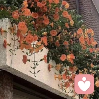 我们要掌握主动而不被别人道德绑架，就要做到这3点：
❶设定边界：不把别人的期待当成自己的必修课，不把别人的情绪当成自己的责任。守住自己的边界，该拒绝时果断拒绝，该翻脸时不必客气。
❷遵从内心：不再把自我价值，寄托在别人的认可里。别人喜不喜欢你，认不认可你，都定义不了你的价值。你不必为了讨好任何人，去改变自己、委屈自己。
❸主动舍弃：不再去维系需要靠讨好才能留住的关系。一段好的关系，从来都是双向奔赴、彼此滋养，而不是一个人单方面的委曲求全。那些需要你踮起脚尖才能靠近的人，本就不属于你的人生。

每个人的人生都是一本只属于自己的书，你是这本书的主角，而不是别人故事里的配角。配图