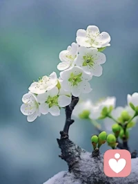 对抗焦虑的三把钥匙:

第一：不是狂奔，而是校准。不管你现在几岁，请记住，你的节奏就是最好的节奏，没必要逼自己样样精通，那是全能选手的事儿，你要做的就是把那些分散的精力收回来，做减法，做深做透，不必因为一点变化就手足无措。你走过的每一步路，吃过的每一次苦，解决过的每一个难题，都已经内化成了你独有的认知护城河，这是别人拿不走的，更是AI替代不了的财富。

第二：重建秩序，在巨变的时代里建立属于你自己的确定性。焦虑的本质是对未来的失控，所以我们要去寻找那些风浪中不变的东西，比如深度阅读，它能带给你跨越时代的认知。强健的身体，它是你所有野心的底盘。爱与陪伴，它是你最温暖的避风港。还有你的核心技能与阅历，那是你安身立命的根本。把这些定海神针加固好，外界风浪再大，你的内心也有支撑。

第三：接纳不完美。你不需要成为无所不能的超人，接受自己有搞不定的新技术，接受自己跟不上新潮流，接受自己偶尔会疲惫会迷茫。接纳不是放弃，而是为了让你在松弛的状态下走得更远。你要相信你经历的所有风雨都会变成你的铠甲。配图