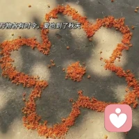 一个好母亲的顶级修养：先安顿好自己，再安顿好孩子


沉静，是一个母亲能给自己的最高礼遇，也是她能给孩子的最深福泽。

一个懂得爱自己的母亲，心是满的。她先把自己的需要接住了，再去面对孩子时，便有了一种不慌不忙的从容。她看得见自己，也看得见孩子——那个哭闹的孩子，在她眼里不是麻烦，而是“他怎么了”的探寻。而一个从未被自己好好对待过的母亲，心是空的、孩子的一点声响，就能把她点燃，她看到的不是孩子，而是自己的焦躁。她不是不想温柔，而是她没有余力。

一个情绪稳定的母亲，是和自己和解过的人。她对自己的喜怒哀乐、光明与阴暗，都保持着觉察与接纳。她的内心没有了那么多对抗和冲突，外在便自然通透平和。而一个一直在内耗的母亲，表面上在应付孩子，实际上在应付自己内心那个从未被安抚过的小孩。她的疲惫，往往不是因为孩子太难带，而是因为她对自己太苛刻。

一个内在完整的母亲，心里有两个声音同时工作，遇事先问自己：“我现在怎么了？孩子又怎么了？” 她能同时容纳——自己的情绪和孩子的情绪。而一个内心破碎分裂的母亲，面对孩子的哭闹，只会被自己的烦躁情绪瞬间吞没，本能地做出应激反应，反击或逃离。配图