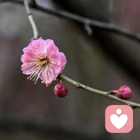 不要惹你身边的“报恩型”搭子 

“人不惜福，福就会散”，有些妻子，为你洗衣做饭，为你生儿育女，一心一意跟你过日子；有些丈夫，奔波劳碌，钱财上交，只为妻儿的一份安稳。夫妻互为搭子，遇到这种“报恩型”搭子，千万要珍惜。上天让你得遇良人，何其幸哉，辜负，便是自毁大运道。

不要盯着那些小缺点不放，女人就是唠叨，就是虚荣，就是能折腾，男人就是粗心，就是幼稚，就是好面子，谁都有谁的偏执和计较，结了婚，生了娃，没有底线问题，就要容她，再容她，让她成为松弛的她自己，而非你想要的样子。永远记住，允许，是夫妻最顶级的爱和通透。

不要惹你身边的“报恩型”搭子，不要享着别人的福，却亏待对方。任何关系，你珍惜，你才值得，任何情感，相互，才有意义。不要因为一件小事，就彻底否定一个人，多看看对方的优点，也想想自己的缺点。他没那么坏，你也没有那么好，夫妻一场，彼此容三分，才是不泯良心。