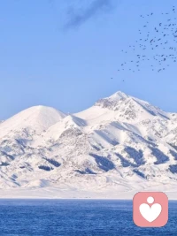 如果我抑郁了，请不要对我说这7句话


“得抑郁，是因为你不够坚强”
“有抑郁情绪就是得了抑郁症”
“哪有什么抑郁症，就是懒而已”
“爱笑的人，肯定不会抑郁”
“不够努力上进的人才会抑郁”
“小小年纪怎么会抑郁？叛逆而已”
“得了抑郁，一辈子都好不了”配图