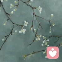 不要跟“性格有缺”的人在一起

不确定，最令人恐慌。你不知道他为什么突然不高兴，突然就发脾气，甚至突然就砸东西，明明是他错，他还理直气壮，甚至骂骂咧咧。明明一句话的事，明明可以说清楚的事，他偏偏要无故发脾气。有些人，他不是多坏，他就是性格有缺，那种天生的固有的思维模式，不经大事，很难改变。

不要跟性格有缺的人，在一起，不要想着去改变对方，你没办法把一块石头，变成一棵树。人与人相处，要始终有一种清醒，有些事，是人力不能及的。能接受，就接受，不能接受，就不要接受，隔开，远离，屏蔽。不要跟任何人的性格内耗，也没必要强求对方，他做他，你做你，你开自己的花，向阳而生，开开心心即可。

永远不要怕重新选择。过情关，崩溃心死之后的重选，往往就是重生。但做好一个前提，脱胎换骨你自己，人在无比强大的时候，能接受一切失去。有些人，天生该独处，给他自由，也给自己空间。记住，你跟有些人的缘分，就是远一点更好，那就远一点，边界生尊重、生独立、更生清净。配图