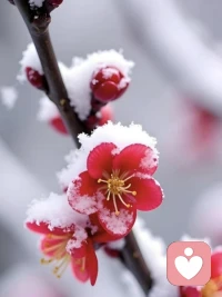 得到，得不到，都是最好的安排

“知足者，贫贱亦乐；不知足者，富贵亦忧”，人不能养贪性，自己有的，多好都不要，自己没有的，再不好，也想尝尝。人真正属于你的福气，都是你自己能握在手里的，你死活得不到的，大概率是，那些根本不属于你，或者你完全无法驾驭。得不到，何尝不是老天的一种温柔保护。

得到，是幸运，要珍惜，不要把到手的福气扔出去，有个完整的小家，虽然吵吵闹闹，折折腾腾，但凑在一起，有烟火，有团圆，哪有那么多事事如意，彼此能相遇，相容，就是大缘分。得不到的，是命运，去争去抢，抢来了，也守不住，耗心耗力，还容易招灾祸。有时候，得不到，才是最好的安排。

人生，充满变数，留不住的人和事太多了。要相信，得到，得不到，都是最好的安排。要以一颗平和的心去面对生活中的得失，得不到时，接受事与愿违，学会看开、看淡，并且相信命运会以另一种方式，给予补偿；得到时，不要忽视冷漠，要珍惜、珍惜、再珍惜，要记住，我拥有的，才最值得。配图