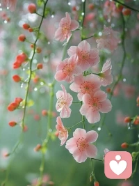 心态对了，满眼皆是繁花

“烦恼本无根，不捡自然无”，人的万般情绪，其实皆由心态决定，心情好，残荷亦美，心情不好，桃花灼灼，只嫌烦。人一定要在疲惫混沌中睁开眼，看看你是真的过得不好，还是仅仅是你的心态不好。吃得饱，穿得暖，还有家人相伴，如此大福气，看不见，就是眼盲心瞎。

王阳明写“心即理也”，人所有的事情，所有的烦恼，都起于自己的心念。心里不想，那些烦心事，也就回归了它自己的轨迹。人一定要学会，把心当土地养，杂草枯草都拔掉，种上喜欢的花，时不时浇点水，让它踏实、干净、勃勃生长。当一个人的心里开满了花，他就会变得无限美好。

“若无闲事挂心头，便是人间好时节”，不要纵容自己，不要找理由，人是可以控制自己的心的，你要人为地让自己的心态很好，别想太多，别总想不好的事，可以哭，可以疼，可以崩溃，但要缓过来，继续走，我心光明地走，心里亮堂堂，一切阴暗、邪祟，皆退让，自有康庄大路，任尔行。配图