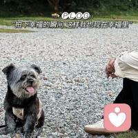 你的人生，没有彩排，没有过渡，没有铺垫；没有哪一步是“通往”生活的，每一步，都是生活本身配图