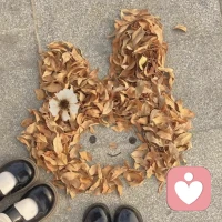 如何识别情感勒索与虚假承诺

情感勒索很少明着来，常常披着在乎的外衣。话听起来像关心，里面却夹着压力。你不答应，就被说成不重视、不体谅。久了，你会下意识顺从，不是因为认同，而是怕失去关系。这种感觉，很容易被误当成爱。

虚假承诺也有共性，说得很好听，却很少兑现。需要你的时候，话特别满；等你投入了，对方却开始拖、开始淡。你越追问，他越给模糊答案。不是没能力做到，是从一开始就没打算承担。承诺一旦没有行动，只是安抚。

识别的关键，是看一致性。说了能不能做到，情绪是否稳定，边界是否清楚。让你不安、反复内耗的关系，多半有问题。别被话打动，要看行动。能对等付出的留下，长期让你消耗的，尽早退出。配图