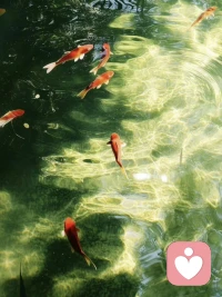 别人怎么对你，都是你教的

我心平和，但亦有些拳脚，人不能惹事，但也不要怕事。别人欺负你一次，可以忍，但总是欺负你，就要反抗。你不反抗，也不远离，只是一味窝囊，就意味着你允许了被伤害，你把自己被伤害这件事，变成了寻常。记住，人护自己三分，别人便不得不惧你三分。

别人怎么对你，都是你教的。不要自损利益，有些利益，你不珍惜，就再也不会来，是你的，就要拿住。不要觉得总是出让利益，是多善的一件事，一旦养大了别人的野心，很容易招灾祸。跟任何人相处，最好都秉持一个互利原则，你不吃亏，我也不受伤。

为人处世，态度要软，骨头要硬。大多琐事，能多平和，就多平和，多微笑，存善念，心温和。可一定要有原则，有底线，一旦不能忍，不可忍，就要骨头硬一点，我好说话，但不好欺负，来人间这一遭，自己够苦了，就别再受他人的委屈和欺负了。