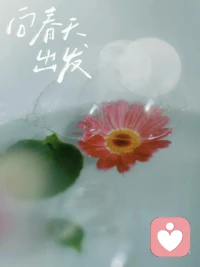 任何关系，出现不尊重，就是信号。无需争论，不必原谅，远离是唯一的答案
