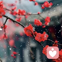 人只有跌进低谷才会明白：最靠得住的从来不是亲人和爱人，而是那个没人心疼也能擦干眼泪、咬牙把日子撑下去的自己配图