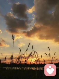 把情绪说清楚，它就不会占满整个世界

我不是一无是处，我只是很疲惫；
不是所有事情都失控了，只是这份稿子需要再改；
也不是未来没有希望，只是今天的电量已经不够……

我常常想到“困”这个字：一棵木，被围在方框里。

树并没有失去生长的能力，只是暂时看不见出口。

给情绪命名，就像在那道框上开了一条缝，让我看见自己真正需要的，也许是休息、帮助、边界，或者一次诚实的表达。

当我不再说“我完了”，而是说“我现在很焦虑”，情绪就从笼罩一切的天空，变成了一阵正在经过的天气。配图