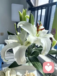 最高级的自律：享受安静


最难得的不是热闹，而是能把心收回来。饭局少一点，闲话少一点，无用的来往少一点，日子反而清爽。安静不是冷淡，也不是没朋友，而是知道精力有限，不再把自己交给喧哗。

能享受安静的人，往往更懂得照顾自己。下班后不急着凑局，周末不勉强应酬，一个人喝茶，散步，整理房间，早睡早起，看似平淡，却是在给身体和心回血。中年以后，最怕的不是孤独，而是被杂事耗空。

安静，是一种筛选。筛掉无意义的比较，筛掉没完没了的消耗，也筛掉别人嘴里的标准。把时间留给家人，身体，存款，爱好和睡眠。当一个人能在安静里待住，就不会轻易被外界拉扯。心稳了，日子自然会顺。
最难得的不是热闹，而是能把心收回来。饭局少一点，闲话少一点，无用的来往少一点，日子反而清爽。安静不是冷淡，也不是没朋友，而是知道精力有限，不再把自己交给喧哗。

能享受安静的人，往往更懂得照顾自己。下班后不急着凑局，周末不勉强应酬，一个人喝茶，散步，整理房间，早睡早起，看似平淡，却是在给身体和心回血。中年以后，最怕的不是孤独，而是被杂事耗空。

安静，是一种筛选。筛掉无意义的比较，筛掉没完没了的消耗，也筛掉别人嘴里的标准。把时间留给家人，身体，存款，爱好和睡眠。当一个人能在安静里待住，就不会轻易被外界拉扯。心稳了，日子自然会顺。配图