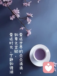 你之所以痛苦，从来不是因为谁离开了你，或是你失去了什么，而是你心底始终有个声音在呐喊：“事情不该是这样的。”配图