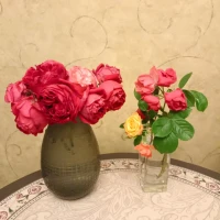 你洗一個(gè)澡 你覺(jué)得很美好；你看到一朵花盛開(kāi) 你覺(jué)得很美好；你吃了一頓飯 你覺(jué)得很美好。事實(shí)上真是因?yàn)樵柘吹酶蓛?花開(kāi)得好 或者菜合你的胃口，一切才美好嗎？并不是，而是你心無(wú)掛礙 輕松的靈魂 可以專注身體的感覺(jué)以此來(lái)欣賞，來(lái)審定美好的事生活，美好的自始至終都是你自己，因?yàn)槟阈臒o(wú)掛礙 因?yàn)槟阈溺R放空從容不迫，?周遭的一切才顯得美好 ，?無(wú)關(guān)歲月痕跡，只在于你。配圖