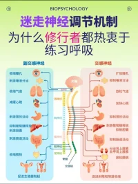 調節呼吸 重塑腦神經系統
聲明資料系轉發