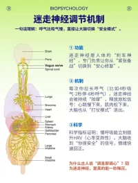 調節呼吸 重塑腦神經系統
聲明資料系轉發