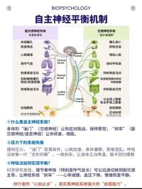 調節呼吸 重塑腦神經系統
聲明資料系轉發