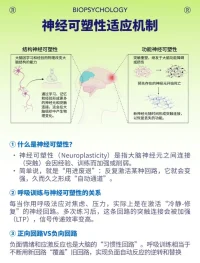 調節呼吸 重塑腦神經系統
聲明資料系轉發