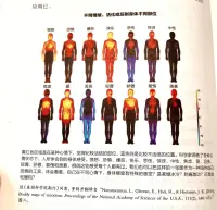不同的情緒活化不同的身體部位