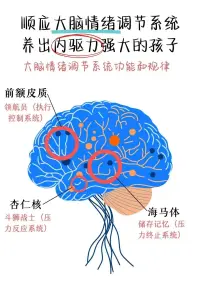 從腦科學角度理解情緒
聲明資料系轉發