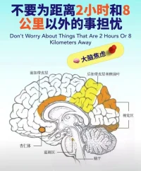 为未来的事过度担忧 会更焦虑
声明资料系转发