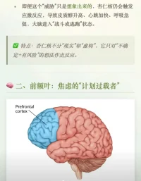 为未来的事过度担忧 会更焦虑
声明资料系转发