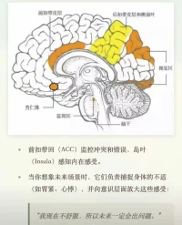 为未来的事过度担忧 会更焦虑
声明资料系转发