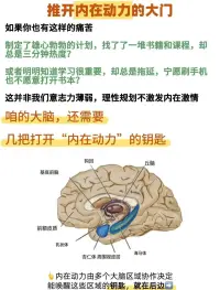 为何学习会上瘾
声明资料系转发
