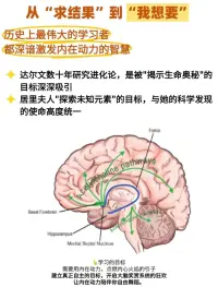 为何学习会上瘾
声明资料系转发