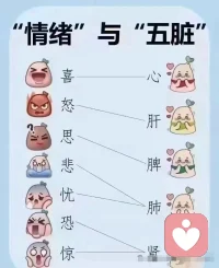 情緒與五臟
聲明資料系轉發