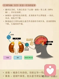 如何做情緒的主人
聲明資料系轉發配圖