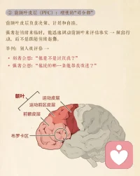 如何做情緒的主人
聲明資料系轉發配圖