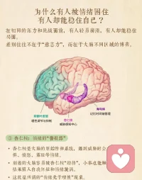 如何做情緒的主人
聲明資料系轉發配圖