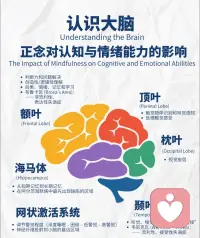 认识大脑
声明资料系转发配图