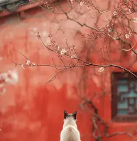 成長不易，不成長更難配圖