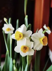 在各種關(guān)系中，一個(gè)關(guān)系究竟是在壓縮你的意志生存長(zhǎng)度，還是在拓寬你的意志生存長(zhǎng)度，是一個(gè)根本問(wèn)題。配圖