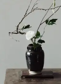 人只有一個使命：走向自我配圖