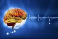 對于亞當，天堂是他的家。
而他的后裔，家就是天堂。
                          —— 伏爾泰配圖