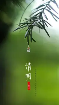 如何道歉？
要迅速、具體、真誠。
不要找借口，
那會把道歉搞砸。配圖