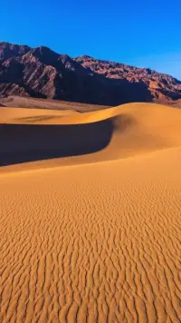 在看待問題的方式上，人可以簡單地劃分為兩種：第一種人能如實地看待問題，第二種人則是根據自己的需要看待問題。
這兩種看待問題的方式也導致了迥然不同的結果，第一種人似乎總能出人意料，尤其是在關鍵時刻，他們的行事方式有時堪稱詭異，卻很容易扣住命運的脈搏，而第二種人平時的決策或許還算可以，但一到關鍵時刻，就會失去判斷力。配圖