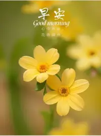 你和他人的關系，其實就是你和自己的關系。如果你不喜歡自己，你也很難喜歡別人。如果你不尊重自己，你也很難尊別人。一個人際關系比較好的人，那他的內在一定是很和諧的，對自己有客觀的評價，生活中他會喜歡和也懂得如何愛自己。配圖